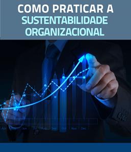 Como Praticar a Sustentabilidade Organizacional